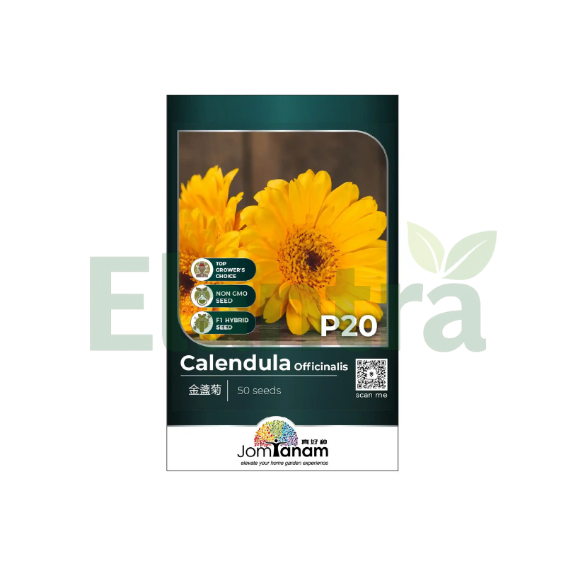 P20 CALENDULA OFFICINALIS